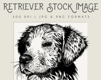 Golden Retriever clipart image, Instant Download, SGolden Retriever print, clip art, commercial use, home decor, scrapbooking, wall art