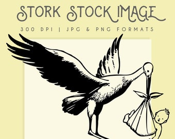 Clipart Stork & Baby image, Digital Download, Wall Art, Stork Graphic, Instant Digital Download, home decor, commercial use, stork logo