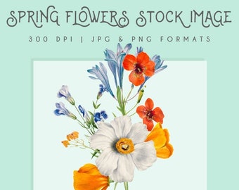 Spring Flowers clipart image graphic, illustration, painting, Instant Download floral print, flower bunch clipart, home decor, wall art,