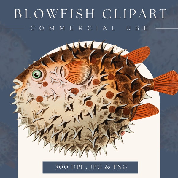 Blowfish clipart image, Instant Download, Blowfish print, fish clip art, blowfish graphic, home decor, scrapbooking, blowfish wall art,