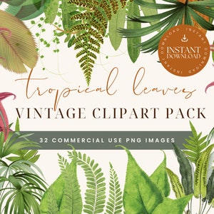Watercolor Tropical Leaves Clipart | Monstera Clipart | Leaf png | Watercolor Floral Clipart | Summer Clipart | Greenery Clipartr