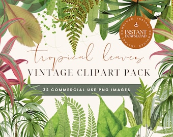 Acuarela Hojas Tropicales Clipart / Monstera Clipart / Hoja png / Acuarela Floral Clipart / Verano Clipart / Greenery Clipartr
