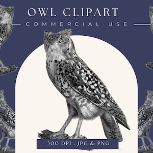 Clipart Owl instant download, commercial use, owl clip art, owl printable, digital download, halloween clipart, vintage print