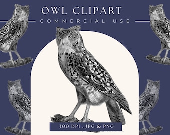 Clipart Owl instant download, commercieel gebruik, uil clip art, uil afdrukbare, digitale download, halloween clipart, vintage print
