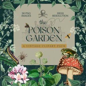 May include: A vintage clipart pack called "The Poison Garden" with 50 high-resolution PNG images. The image features a skull and crossbones, a gate, a frog on a mushroom, a caterpillar, a spider, and various plants.