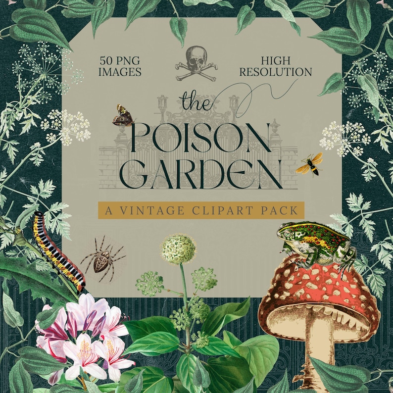 May include: A vintage clipart pack called "The Poison Garden" with 50 high-resolution PNG images. The image features a skull and crossbones, a gate, a frog on a mushroom, a caterpillar, a spider, and various plants.