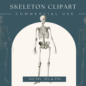 Clipart Skeleton Image, Instant Download, Digital clip art, home decor, day of the dead, dia de los muertos, halloween clipart