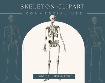Clipart Skeleton Image, Instant Download, Digital clip art, home decor, day of the dead, dia de los muertos, halloween clipart