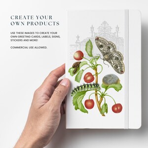 May include: A white notebook with a black and white illustration of a butterfly, a caterpillar, and cherries on a branch. The text "CREATE YOUR OWN PRODUCTS" is at the top of the notebook. The text "USE THESE IMAGES TO CREATE YOUR OWN GREETING CARDS, LABELS, SIGNS, STICKERS AND MORE!" is below the illustration. The text "COMMERCIAL USE ALLOWED." is at the bottom of the notebook.
