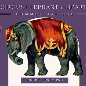Clipart Circus Elephant image, digital clipart, digital download, instant download, commercial use, scrapbooking, home decor, elephant