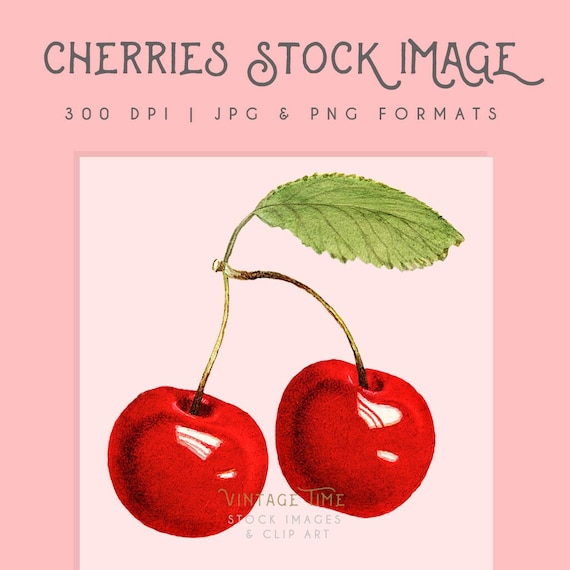 Cherries clipart image graphic, Instant Download, cherry print, fruit clipart, cherry graphic, home decor, fruit wall art, scrapbooking