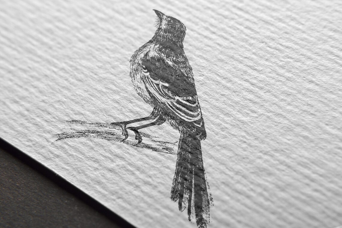 Mockingbird Clipart Image, Instant Download, Mockingbird Printable ...