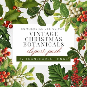 Vintage Weihnachtscliparts | Weihnachtsbotanicals | Weihnachtsgrün | Kommerzielle Nutzung | Vintage Stechpalme Clipart | Weihnachtskränze