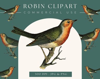 Robin clipart, Instant Download Robin printable, robin clip art, christmas clipart, robin graphic, home decor, scrapbooking, christmas image