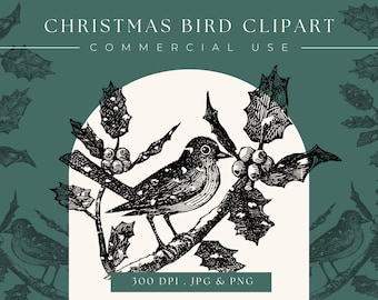 Christmas Bird Clipart image, Christmas graphic, Digital Download, Digital printable, clip art, commericial use, scrapbooking, home decor