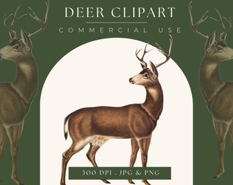 Printable Antique Deer Graphic Instant Download Deer Antlers Image ...