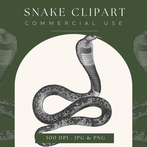 Clipart Snake Illustration Instant Download, snake clip art digital download, snake printable image, snake commericial use