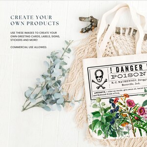 Poison Garden Clipart Pack - Witchy Herbology, Poisonous Plants, Gothic Flowers & Vintage Apothecary Décor 50 PNG Images image 6