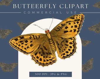 Butterfly clipart image instant download, Butterfly clip art, butterfly print, commercial use, butterfly logo, scrapbooking