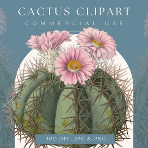 Clipart cactus, imprimable Cactus téléchargement immédiat, clipart cactus à usage commercial graphique de cactus, décoration d'intérieur, art mural de cactus de scrapbooking