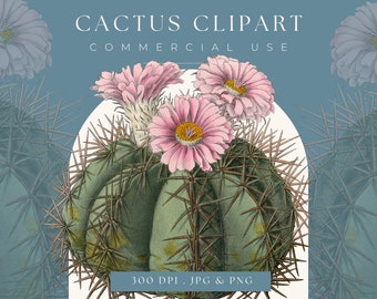 Cactus clipart, Instant Download Cactus printable, Cactus clip art commericial use cactus graphic, home decor, scrapbooking cactus wall art