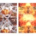 Fall Splendor Vellum; Autumn Vellum; Bloomsical; Pumpkin Vellum ...