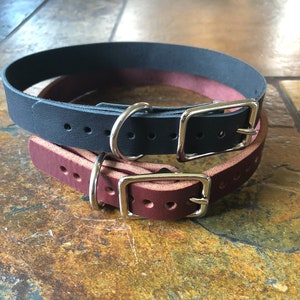 Premium handmade leather dog collar, hand tooled, hand set, bully breed, all sizes, latigo leather, extra small, extra large, thick leather