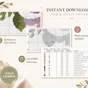 May include: An instant download PDF cross stitch pattern featuring a grid with symbols on color blocks, a black and white symbol chart, and a DMC floss color key. The document includes a list of symbols, thread strands, types, and color names.