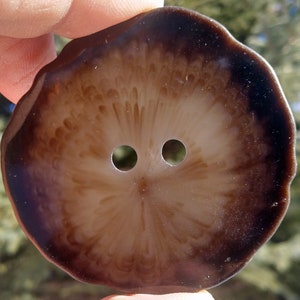 May include: A brown and white shell button with two holes. The button has a swirling pattern and a dark brown border.