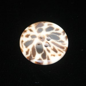 May include: A white and brown shell button with a three-hole design.