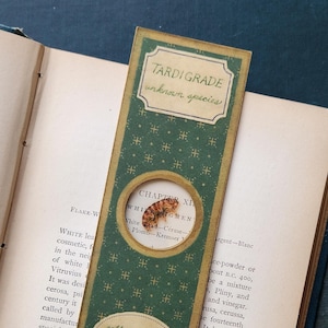 Op de afbeelding: Een groene bladwijzer met een gouden rand en een klein rond venster dat een geconserveerd tardigrade laat zien. De bladwijzer heeft de tekst "Tardigrade onbekende soort" en "Hoofdstuk XI Witte Pigmenten" erop. De bladwijzer heeft ook de tekst "verzameld van Paint Creek meest specimen".