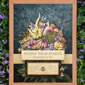 Native Ohio Plants Beneficial for Our Bees - Watercolor Illustration 12x16 Print, Scientific Illustration, Nature Wall Art