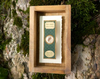 Tardigrade Victorian Microscope Slide Shadowbox - Handmade Curiosity Antique Wall Art Dark Academia Decor Microbiology STEM gift