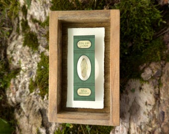 Victorian Microscope Slide Dog Day Cicada Shadowbox - Handmade Curiosity Antique Wall Art Dark Academia Insect Art Entomology gift