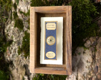 Diatoms Victorian Microscope Slide Shadowbox - Handmade Curiosity Antique Wall Art Dark Academia Decor Microbiology STEM gift