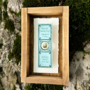 Victorian Microscope Slide Tangled Thread Moss Shadowbox - Handmade Curiosity Antique Wall Art Dark Academia Botanical Art STEM gift