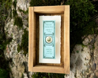 Victorian Microscope Slide Tangled Thread Moss Shadowbox - Handmade Curiosity Antique Wall Art Dark Academia Botanical Art STEM gift