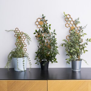 Wabengitter, Sechseckgitter, Blumentopfgitter, Innengitter, Holzpflanzengitter, Zimmerpflanzenpfähle, Modernes Gitter, Geschenk für Pflanzenliebhaber