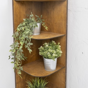 May include: A wooden corner shelf unit with three curved shelves. Each shelf holds a different potted plant in a silver metal container. The plants include trailing greenery, small white flowers, and tall green grass. The wood has a warm brown tone.
