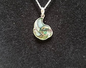 Abalone Shell Necklace. Sterling Silver Inlaid Abalone Shell Pendant. Gorgeous Green and Blue Natural Color.