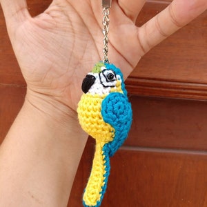 mini-blue and gold macaw pattern