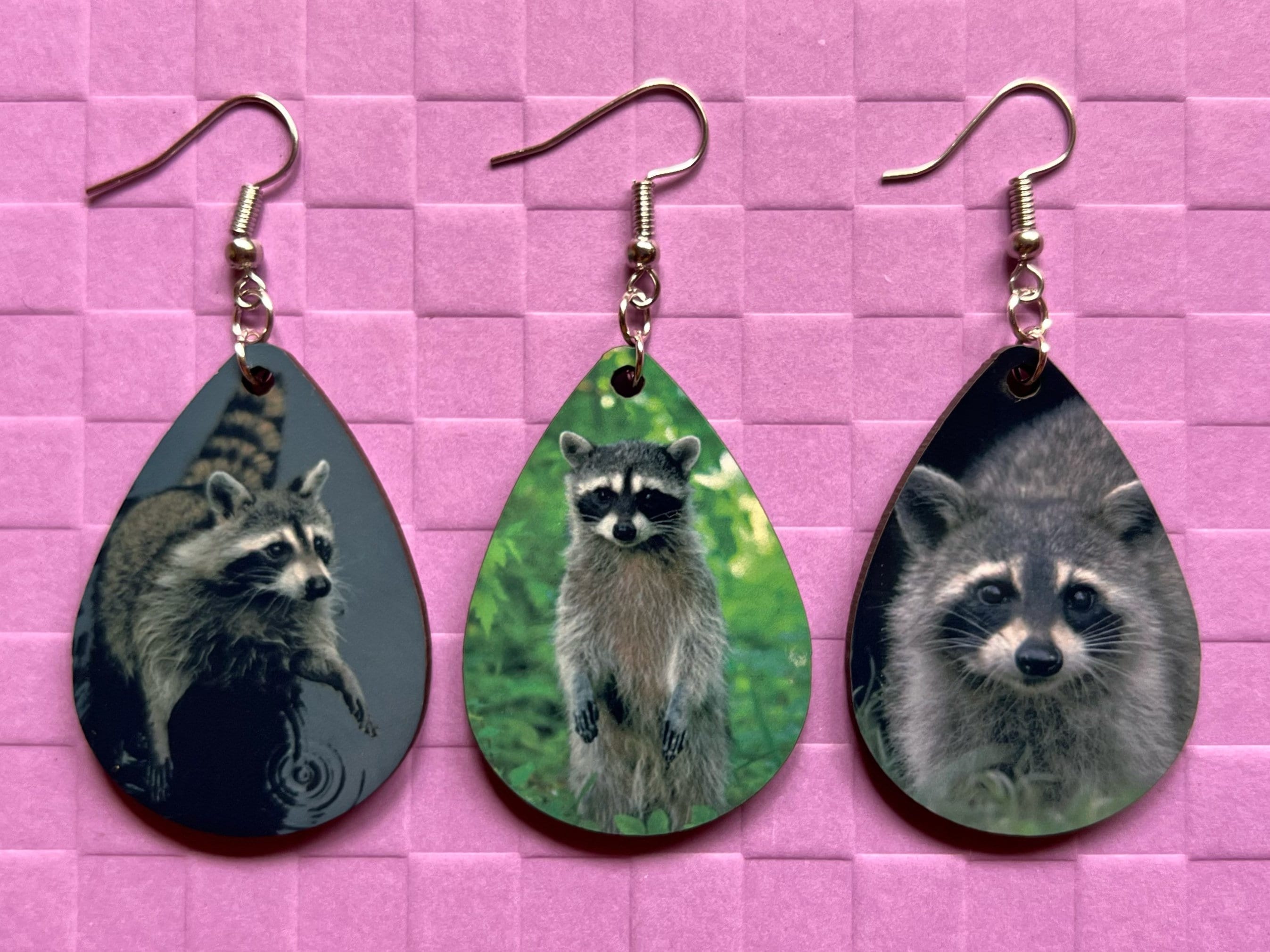 Raccoon Earrings: Cute Animal, Trash Panda Earrings, Zoo, Gifts for  Her/him/them 