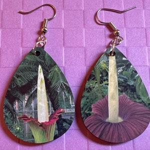 Corpse Flower Earrings: Carnivorous Plants, Green Plant, Exotic Plants, Gifts for Her/Him/Them