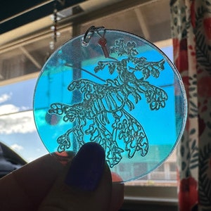 Ocean Creature Earrings: Laser Cut Acrylic Octopuses, Sea Urchins, Horses, Fish, Sea Dragons, Starfishes, Jellyfish, Gifts for Her/Him/Them image 7