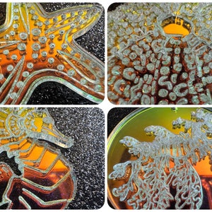 Ocean Creature Earrings: Laser Cut Acrylic Octopuses, Sea Urchins, Horses, Fish, Sea Dragons, Starfishes, Jellyfish, Gifts for Her/Him/Them image 3