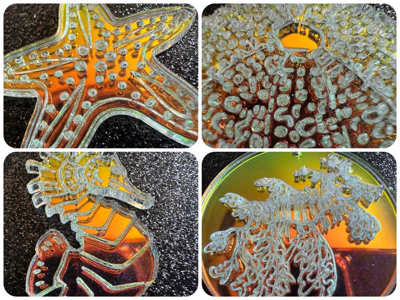 Ocean Creature Earrings: Laser Cut Acrylic Octopuses, Sea Urchins, Horses, Fish, Sea Dragons, Starfishes, Jellyfish, Gifts for Her/Him/Them image 3