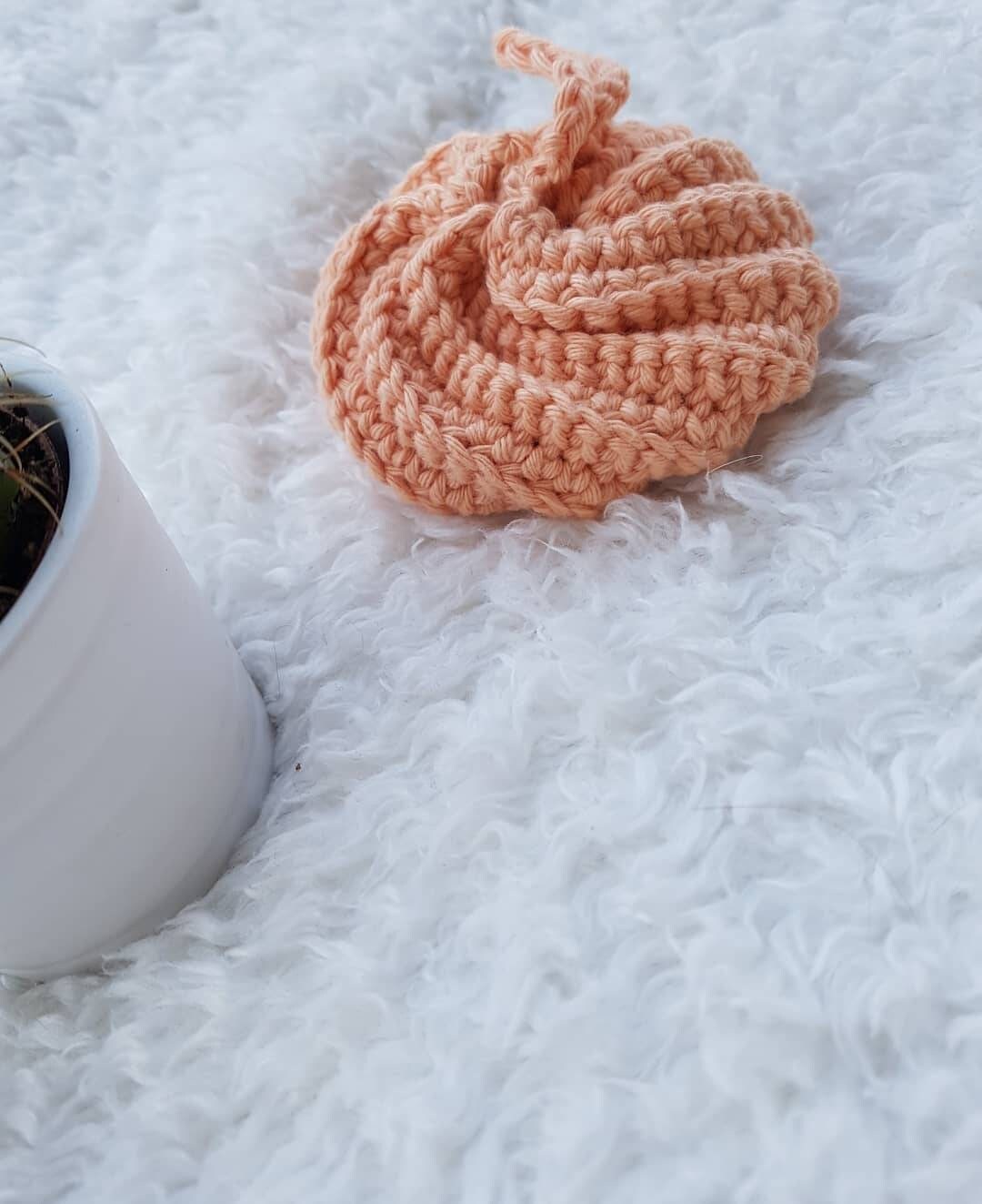 Tawashi Éponge Lavable