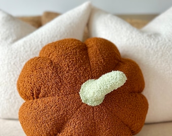 Burnt Orange Sherpa Pumpkin Pillow, Sage Green Stem