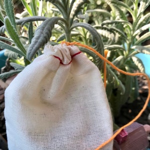 May include: A white cotton drawstring bag with a red drawstring. The bag is sitting in a blue pot with green plants.
