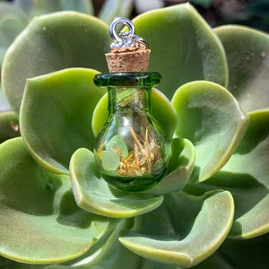 Abundance Charm Necklace, Pendant for Witches, Pagans, Wealth, Prosperity, Green Money Charm